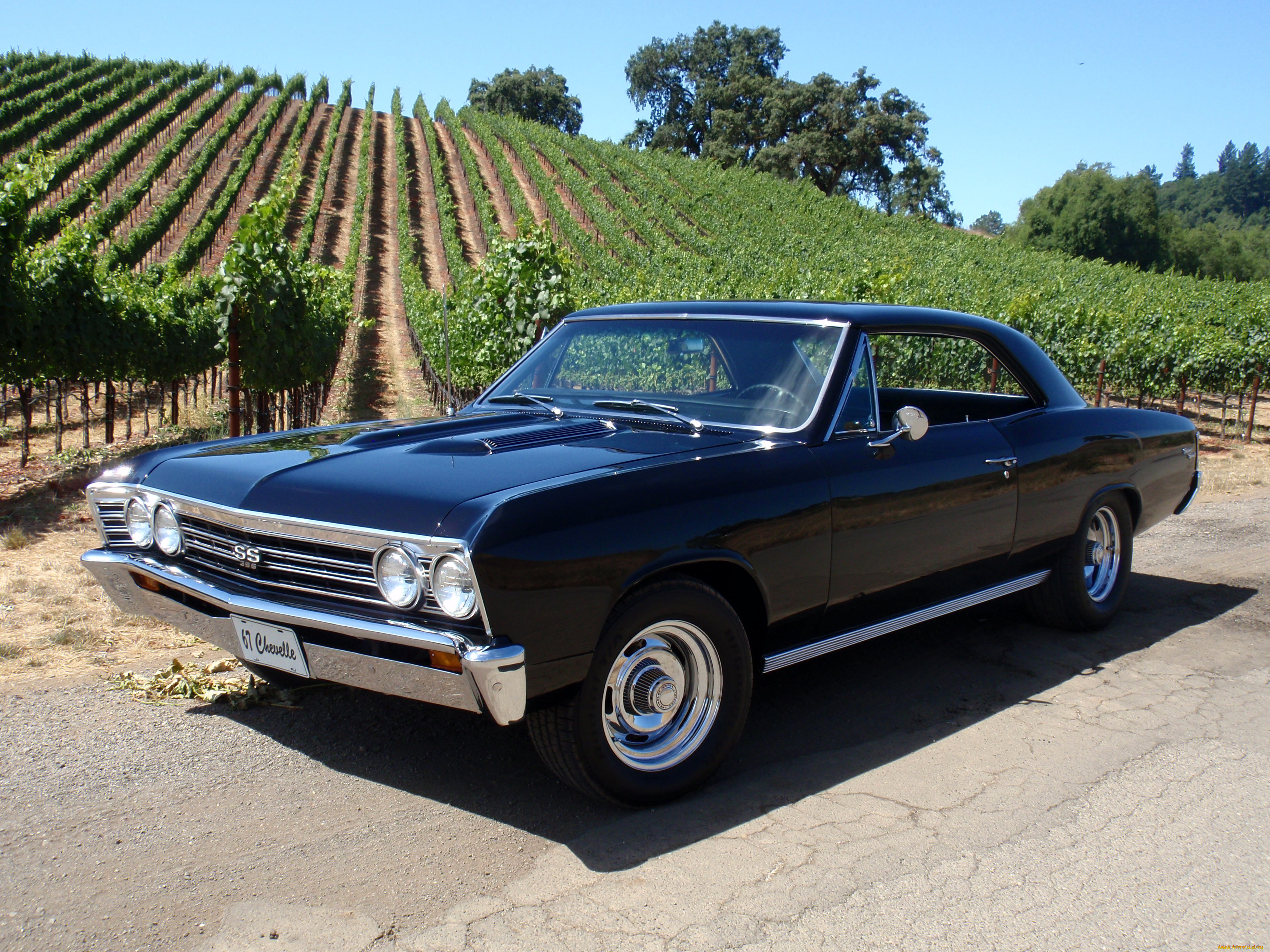 , chevrolet, chevy
